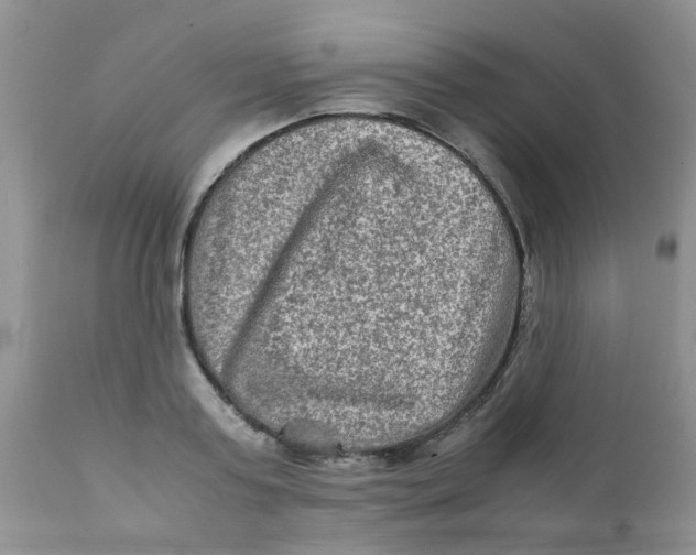 X0000111900795200908171237