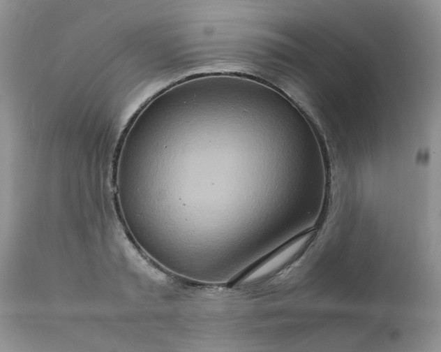 X0000111900797200908171237