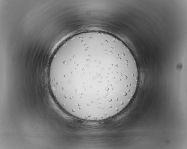 X0000111900798200908171237