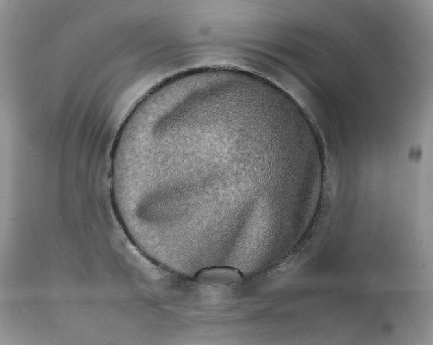 X0000111900799200908171237