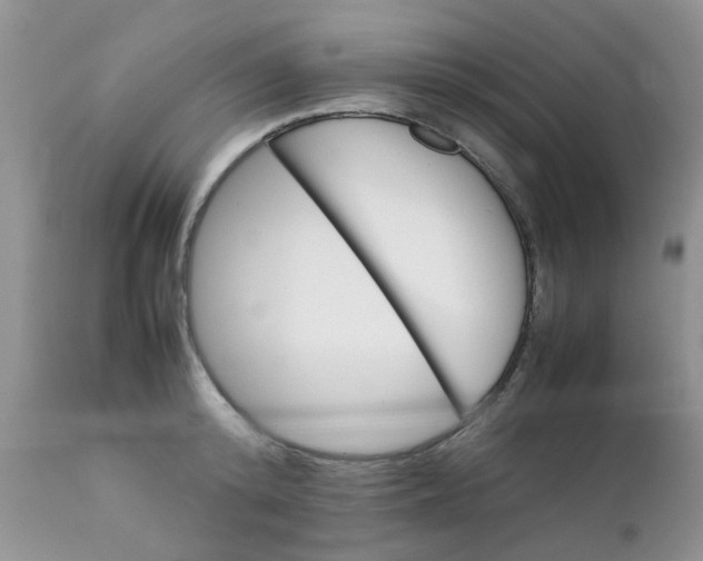 X0000111900800200908171237