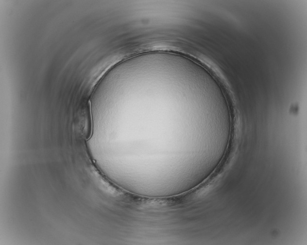 X0000111900801200908171237