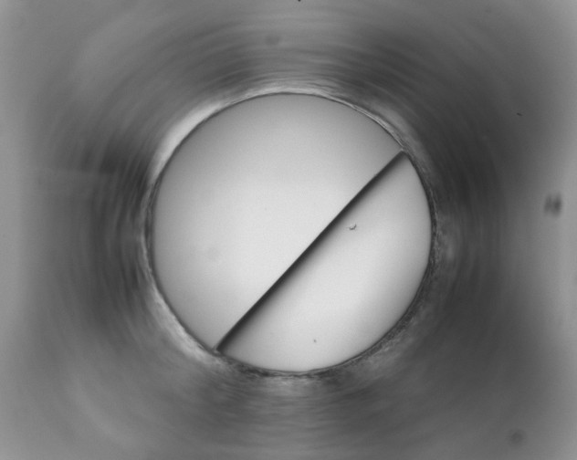 X0000111900804200908171237