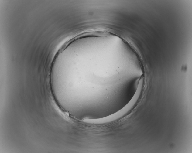 X0000111900805200908171237