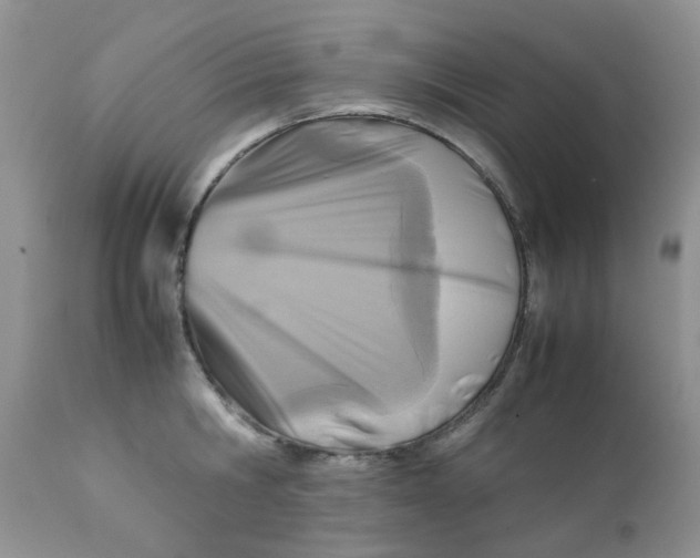 X0000111900806200908171237