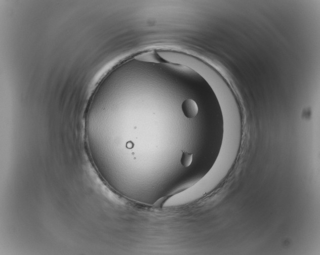 X0000111900807200908171237