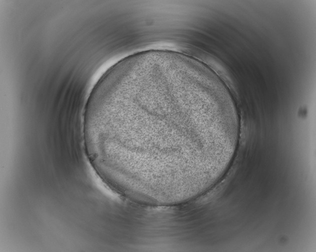 X0000111900808200908171237