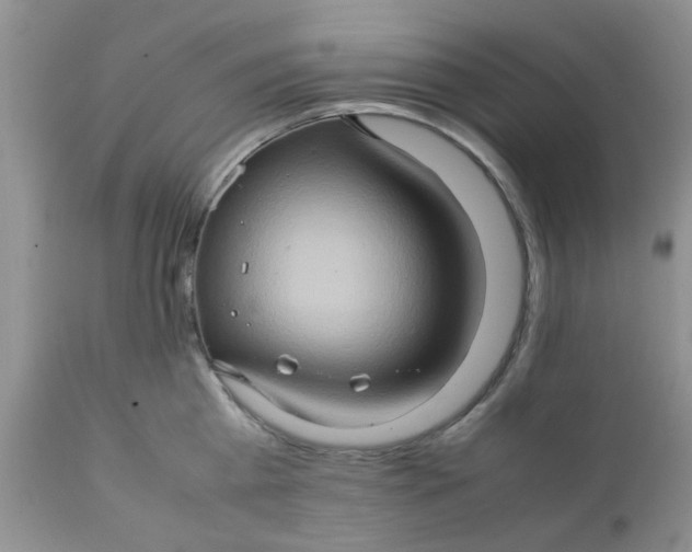 X0000111900809200908171237