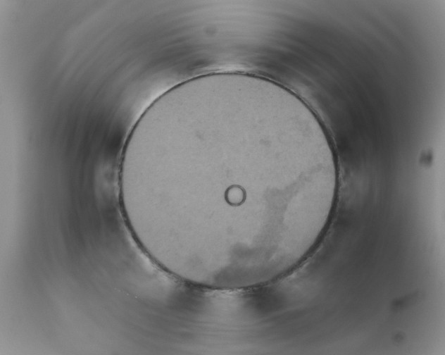 X0000111900810200908171237