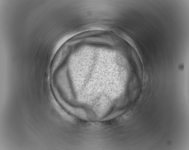 X0000111900811200908171237