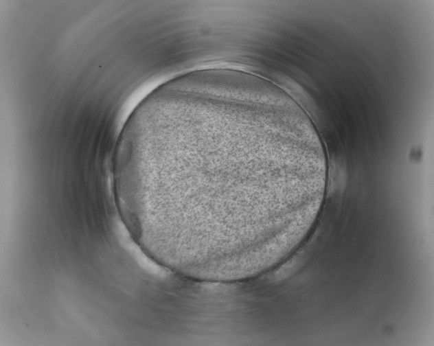 X0000111900812200908171237