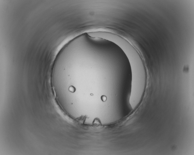 X0000111900813200908171237