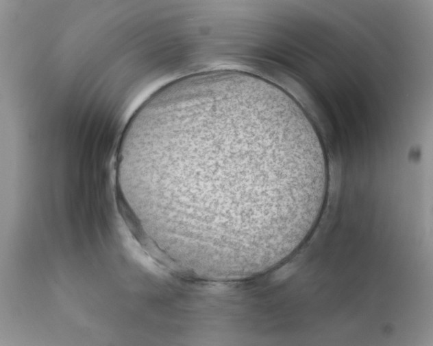 X0000111900814200908171237