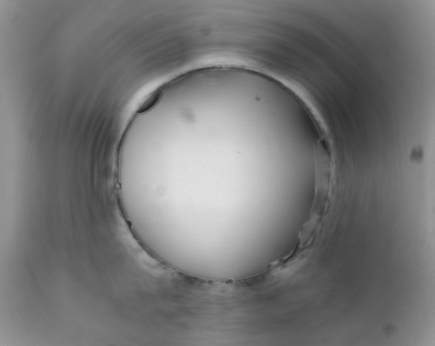 X0000111900815200908171237