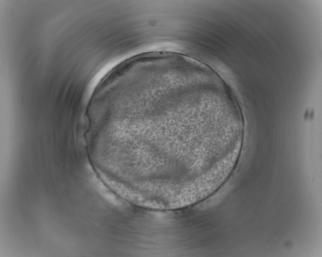 X0000111900816200908171237