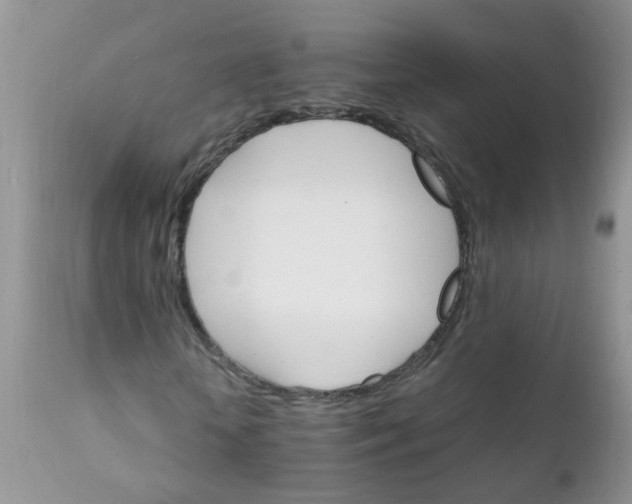 X0000111900818200908171236