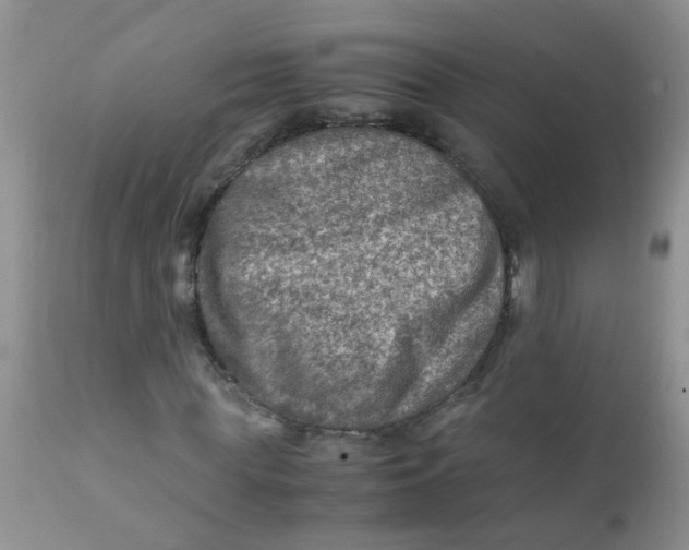 X0000111900819200908171236