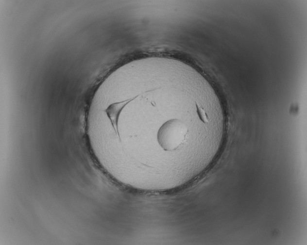 X0000111900820200908171236