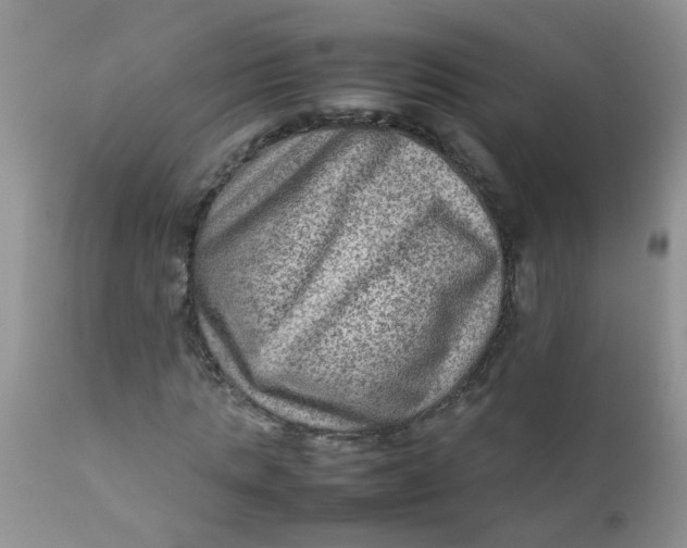 X0000111900821200908171236