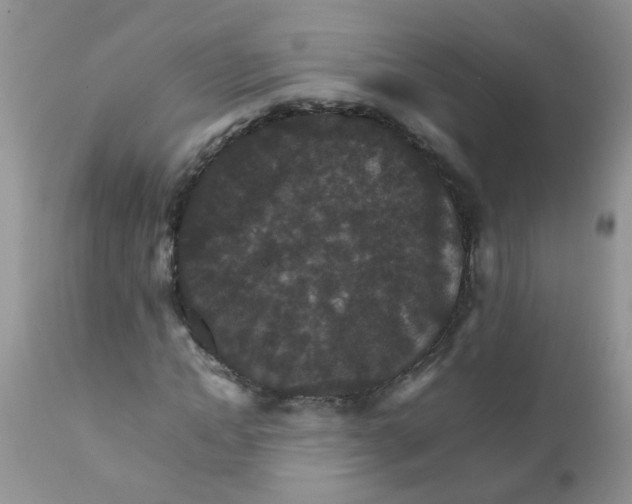 X0000111900822200908171236