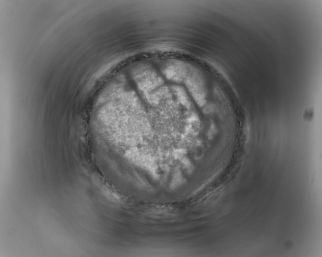 X0000111900823200908171236