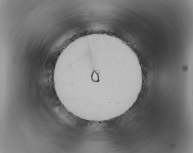 X0000111900824200908171236