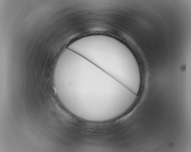 X0000111900825200908171236