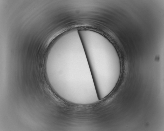 X0000111900826200908171236