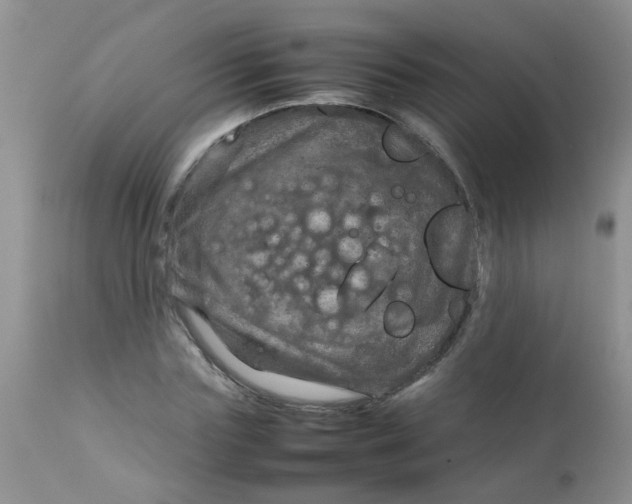 X0000111900827200908171236