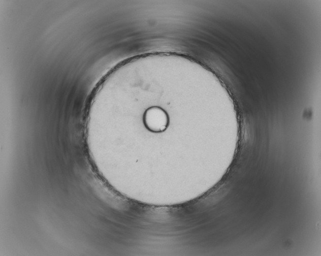 X0000111900828200908171236