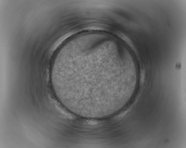 X0000111900829200908171236