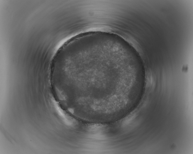 X0000111900830200908171237