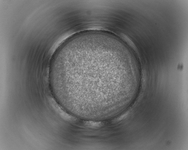 X0000111900831200908171237