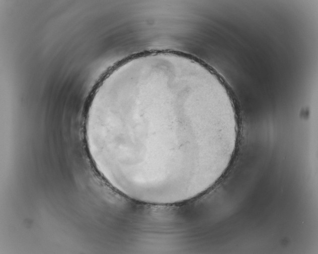 X0000111900832200908171237