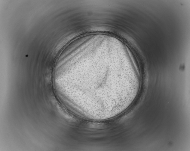 X0000111900833200908171237