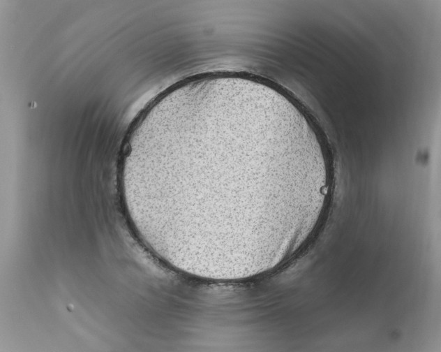 X0000111900834200908171237