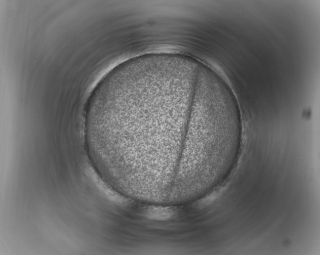 X0000111900835200908171237