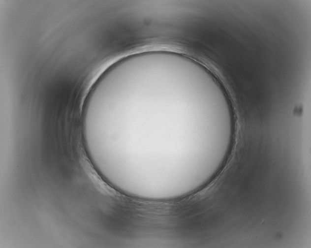 X0000111900836200908171237