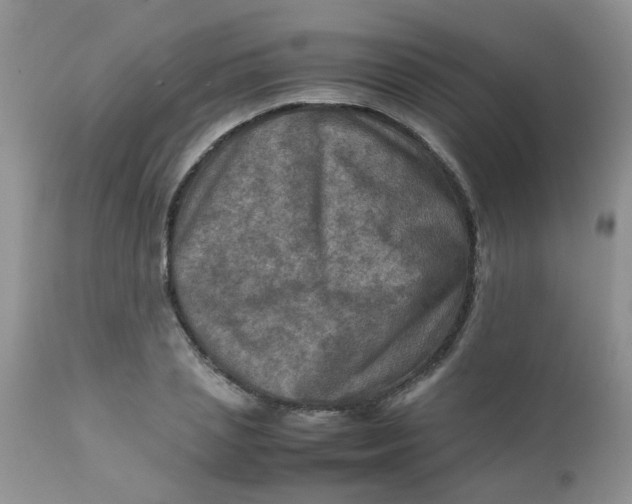 X0000111900837200908171237