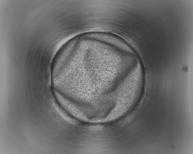 X0000111900838200908171237