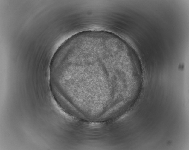 X0000111900839200908171237