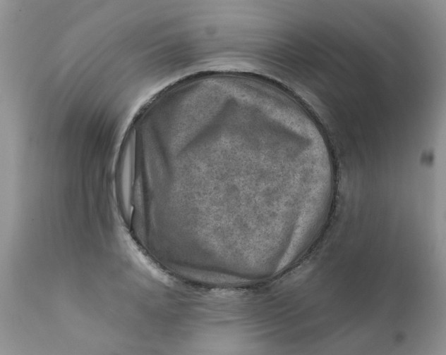 X0000111900840200908171237