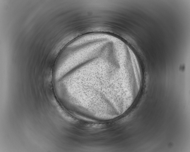 X0000111900841200908171237