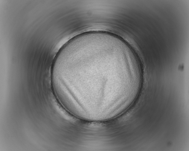 X0000111900842200908171237