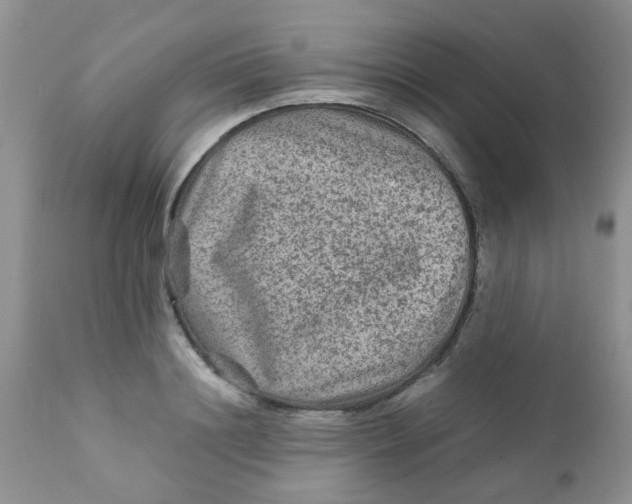 X0000111900844200908171237