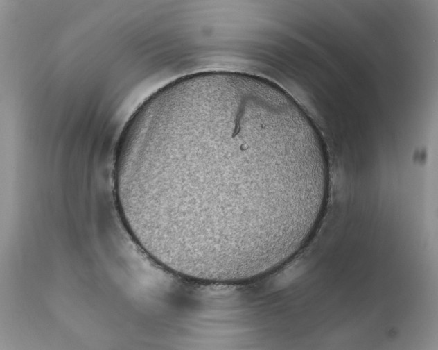 X0000111900846200908171237