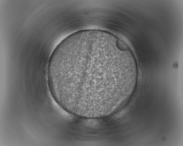 X0000111900847200908171237