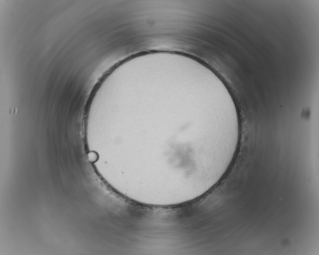 X0000111900848200908171237