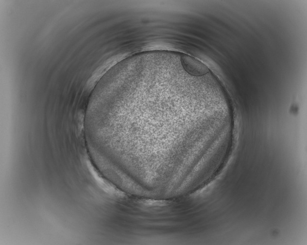 X0000111900849200908171237