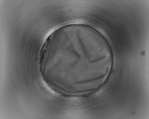 X0000111900850200908171237